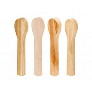 Polotovary na lžíce BeaverCraft Carving Spoon Blanks Set BB3 (jilm, meruňka, javor, olše)